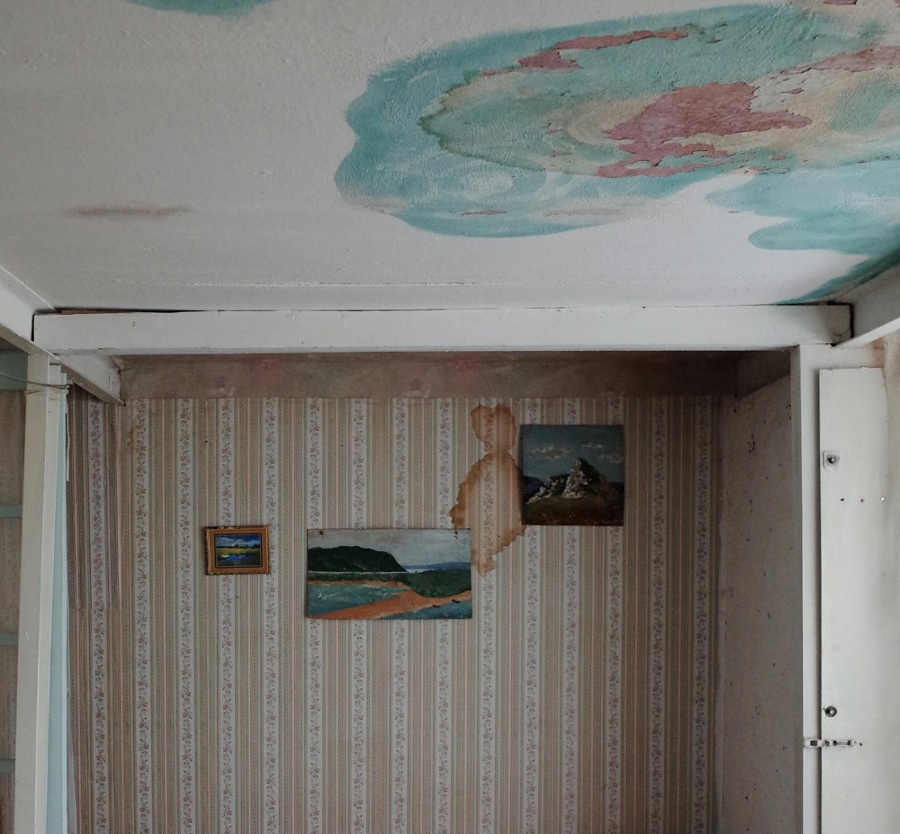 Mould On Ceilings And Walls