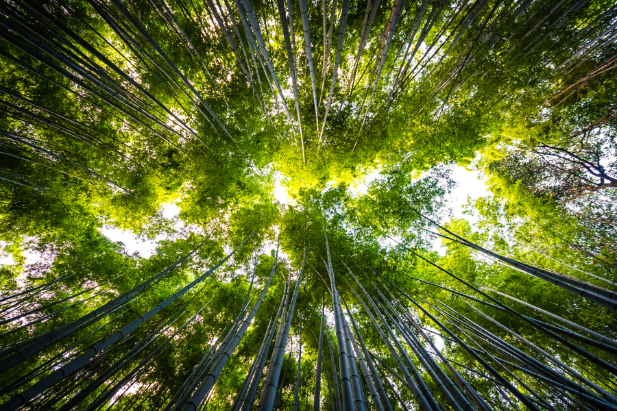 Green economy