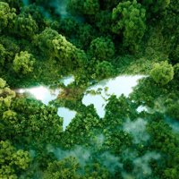 World Continents Form Large Lake Amids Lush Rainforest As Ecology Metaphopre Nature Conservation Climate Change Awareness