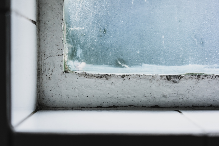 Awaab's Law - damp and mould