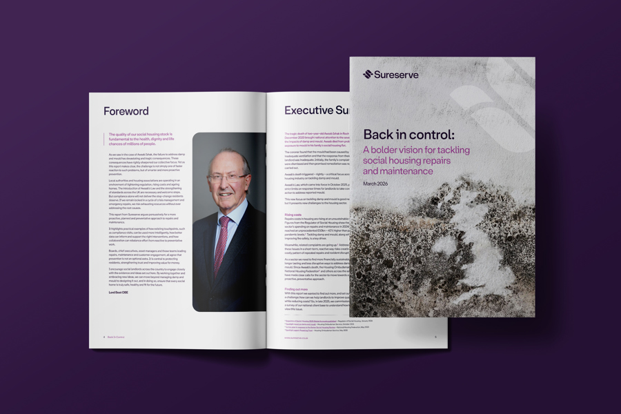 Damp and mould report